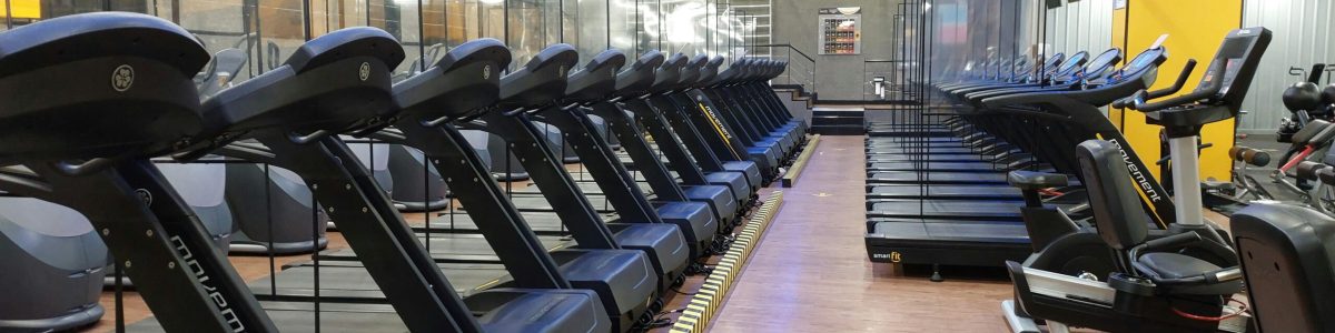 pexels-mario-garcia-653996-12250460